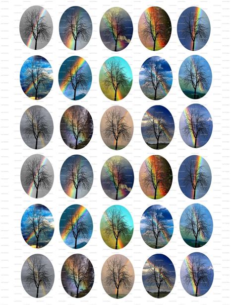 Tree Silhouettes on Rainbow Background Digital Collage - Etsy