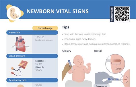 Newborn Vital Signs [+ Free Cheat Sheet] | Lecturio Nursing