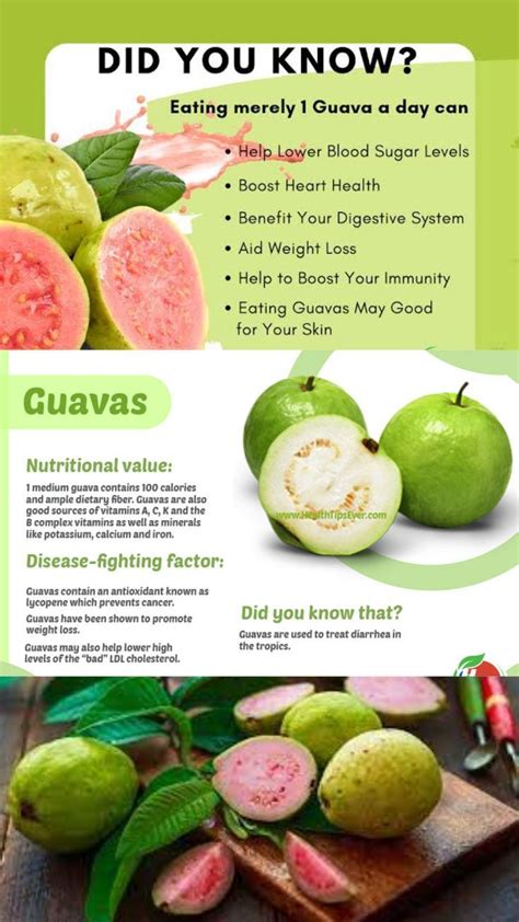 A Common Fruit With Numerous Benefits-Guava | Guava benefits, Guava, Fruit