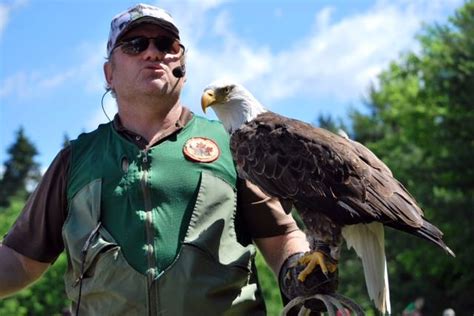 Free Birds of Prey show coming to Ferguson Forest Centre - My Kemptville Now