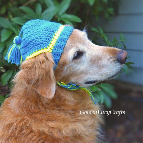 Crochet Dog Hat | AllFreeCrochet.com