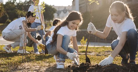 Philippines Passes Law Requiring Students To Plant 10 Trees