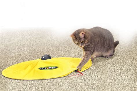 Cat S Meow Toy Review – Wow Blog