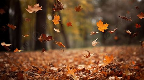 Fall Leaves Falling Wallpaper