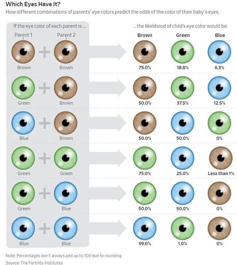 Punnett Square Calculator Eye Color