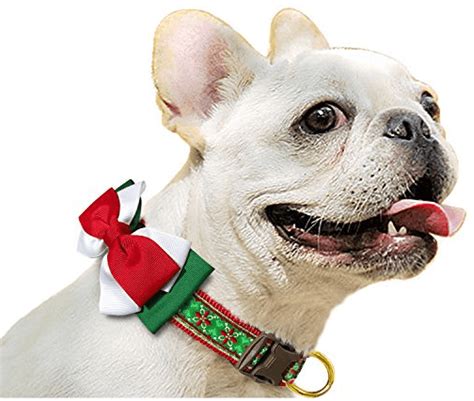 Best 100 Christmas Costumes for Dogs - Events Yard