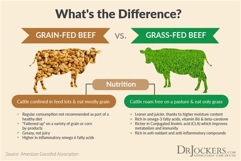 Organic Meat Dilemma That We Are Not Told About