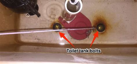 Is Your Toilet Leaking From the Tank Bolts? Here’s How to Fix It