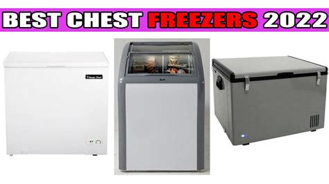 Top 10 Best Chest Freezers Reviews in 2022 - Table and Flavor