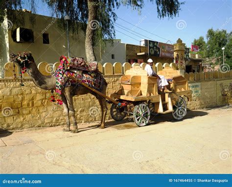 Camel cart of Gadisar lake editorial image. Image of ride - 167464455