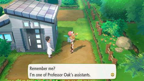 Pokemon Let's Go: Route 2 (Guide And Walkthrough) - Ordinary Reviews