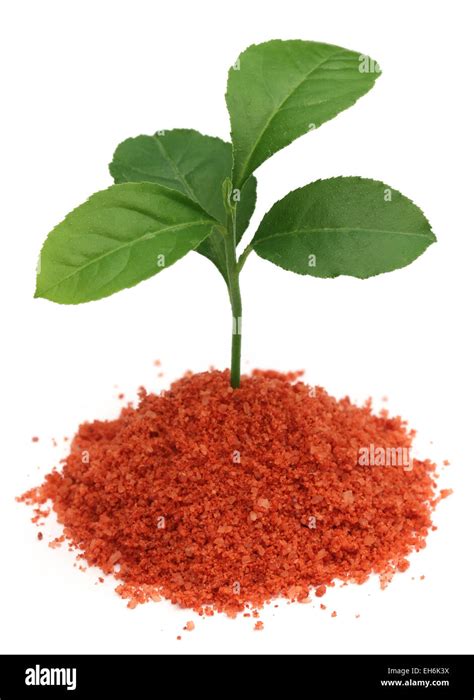 Potassium Chloride Fertilizer