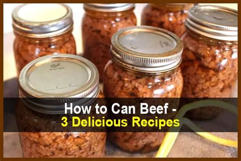 12+ Recipes Using Canned Beef - AndaleebMina