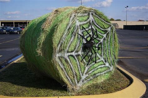 Decorated hay bale contest will promote agriculture | Morning Ag Clips