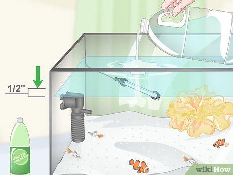 3 Ways to Reduce Saltwater Reef Aquarium Maintenance - wikiHow