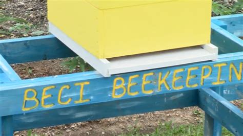 Belmont Correctional Institution moving forward with beekeeping program ...