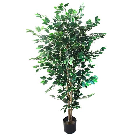 5ft artificial plants information | chocmales