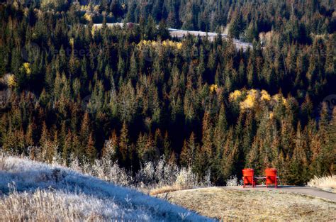 Cypress Hills First Snowfall 5189438 Stock Photo at Vecteezy