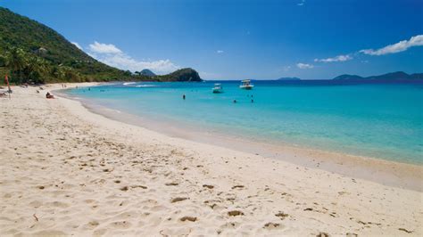 Beach of the Week: Smuggler's Cove - Tortola - Beach Tomato