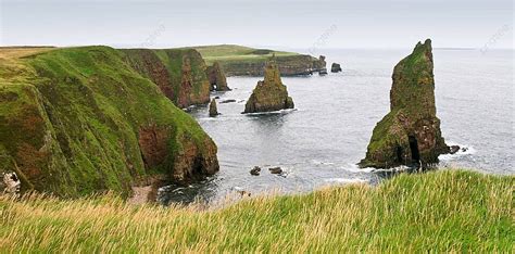 Sea Stacks And Cliffs Shore Sea Stack Erosion Photo Background And Picture For Free Download ...