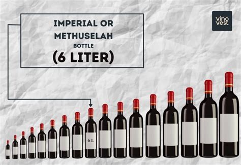 Ultimate Guide to 17 Wine Bottle Sizes (Dimensions, Shapes)