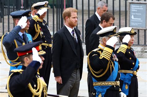 See Prince Harry and Prince William at Queen Elizabeth's Funeral - Parade