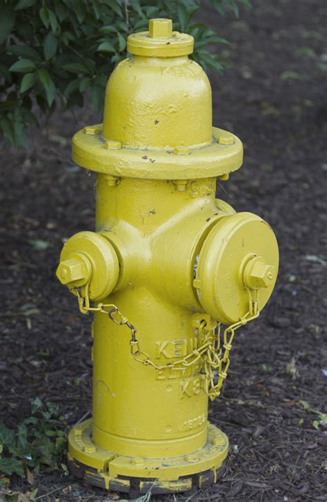 Yellow fire hydrant - PHOTOBER - Free Photos Free Images for all