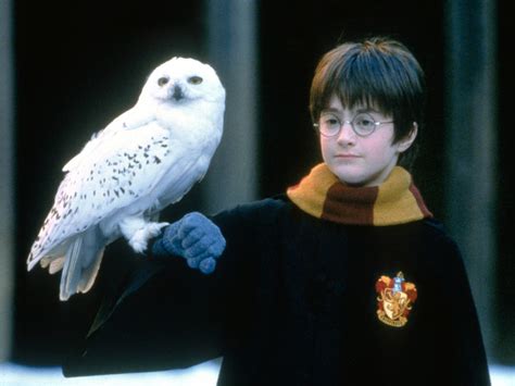 Harry Potter oral history: The Philosopher’s Stone at 20 | The Independent