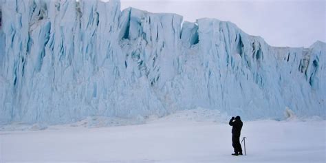 Antarctica: A Year on Ice (2013)* - Whats After The Credits? | The ...