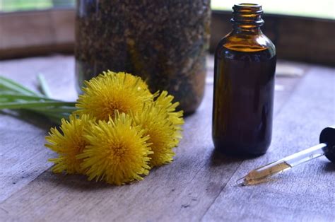 Dandelion Burdock Bitters Recipe for Better Health and Tastier ...