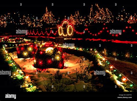 Traditional Christmas Lights on Trees, VanDusen Botanical Garden Stock Photo: 6129851 - Alamy