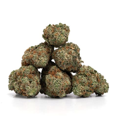 Tropicana Cookies | Buy Low Green | Buy Weed Online Canada