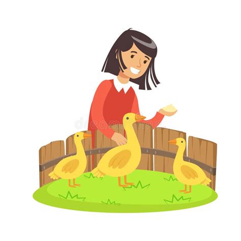 Cute Little Girl Feeding Ducks with Grain in a Mini Zoo. Colorful Cartoon Character Vector ...