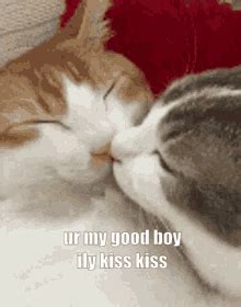 Kissy GIFs | Tenor