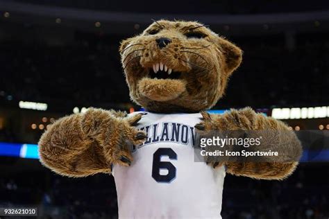 Villanova Mascot Will D Cat Photos and Premium High Res Pictures ...