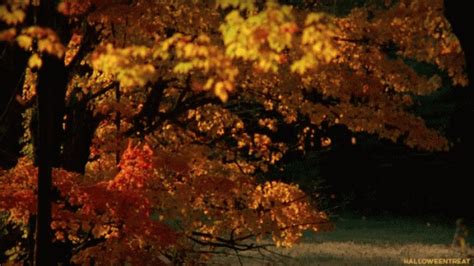 Autumn Mid Autumn GIF - Autumn MidAutumn HappyFall - Discover & Share GIFs | Short stories ...