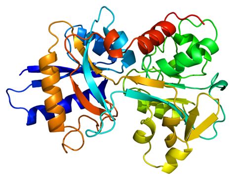 What is the Difference Between Ferritin and Transferrin - Pediaa.Com