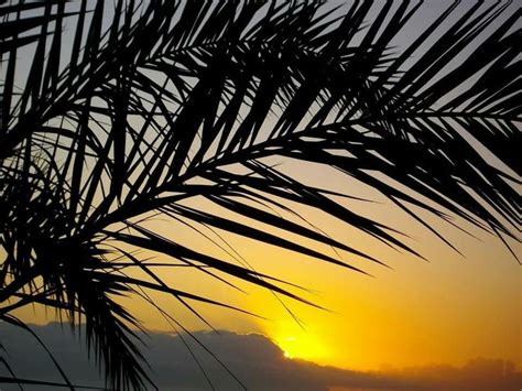 #Tenerife #sunset | Tenerife, Sunset, Outdoor