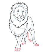 How to draw a cartoon lion Drawing tutorial | Cartoon lion, Lion drawing, Animal drawings