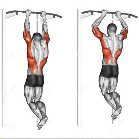 Pull Ups/Chin Ups/Close Grip Pull Ups by Richard Terry Jr - Exercise ...