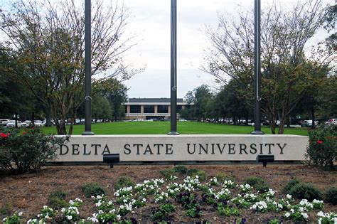 Deltauniversity