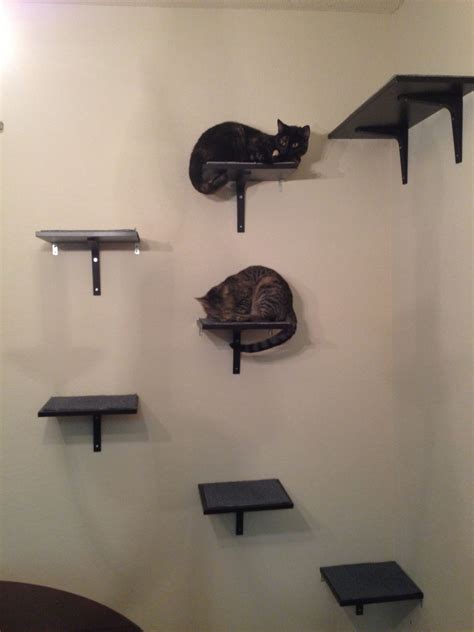 Loading... | Cat shelves, Ikea cat, Animal room