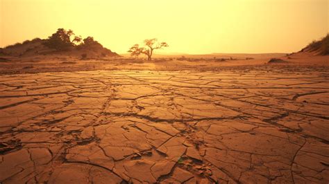 Comment survivre dans le désert ? - GRANDES POCHES.NET