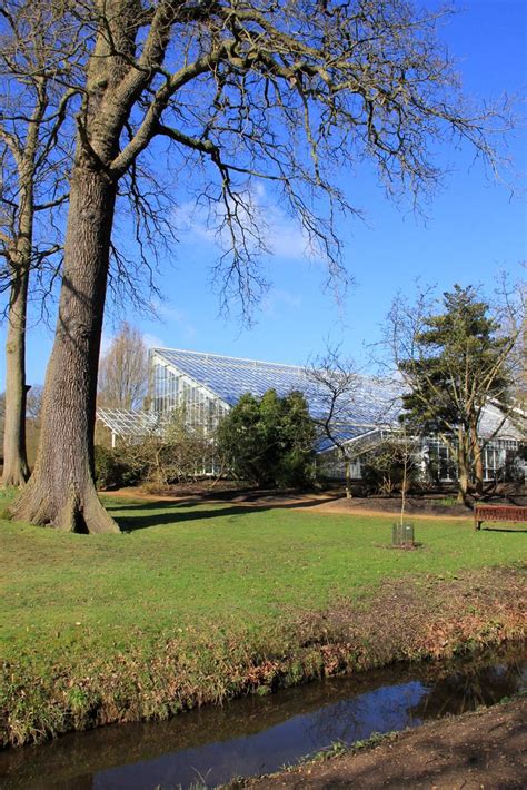 Savill Gardens 01-03-2014 | The Savill Garden is an enclosed… | Flickr