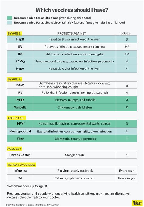 Every vaccine you should have as an adult, in one chart - Vox