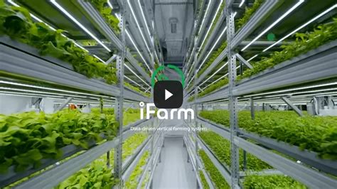 Vertical Farming Takes Food Production to Greater Heights