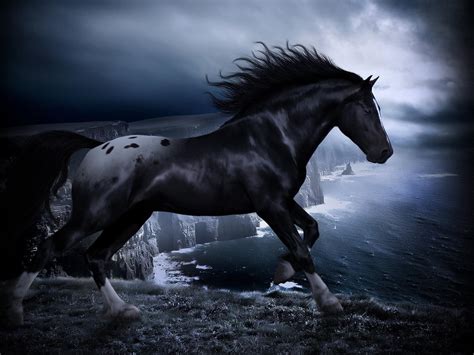 HD Black Horse Wallpapers | PixelsTalk.Net