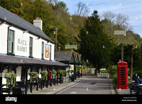 Arundel black rabbit hi-res stock photography and images - Alamy