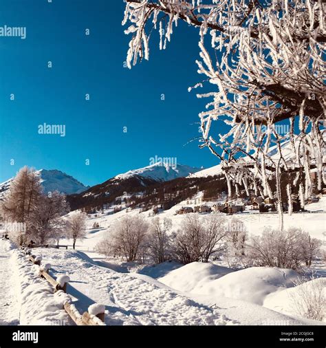 Swiss Winter Wonderland Stock Photo - Alamy