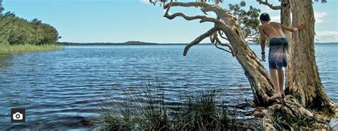 Wells Campground: Myall Lakes Camping – Little Green Nomad